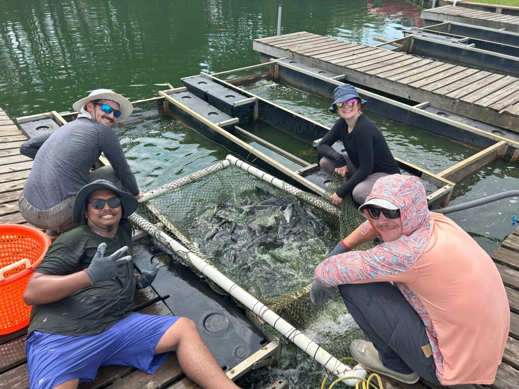 A group of aquaculture students doing field research with fish in a pond, from an aquaculture job-seeker.