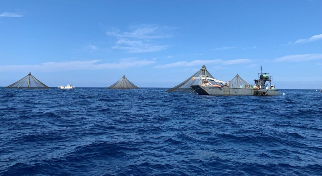 Photo of Blue Ocean Mariculture net pens from Meridian Institute aquaculture report