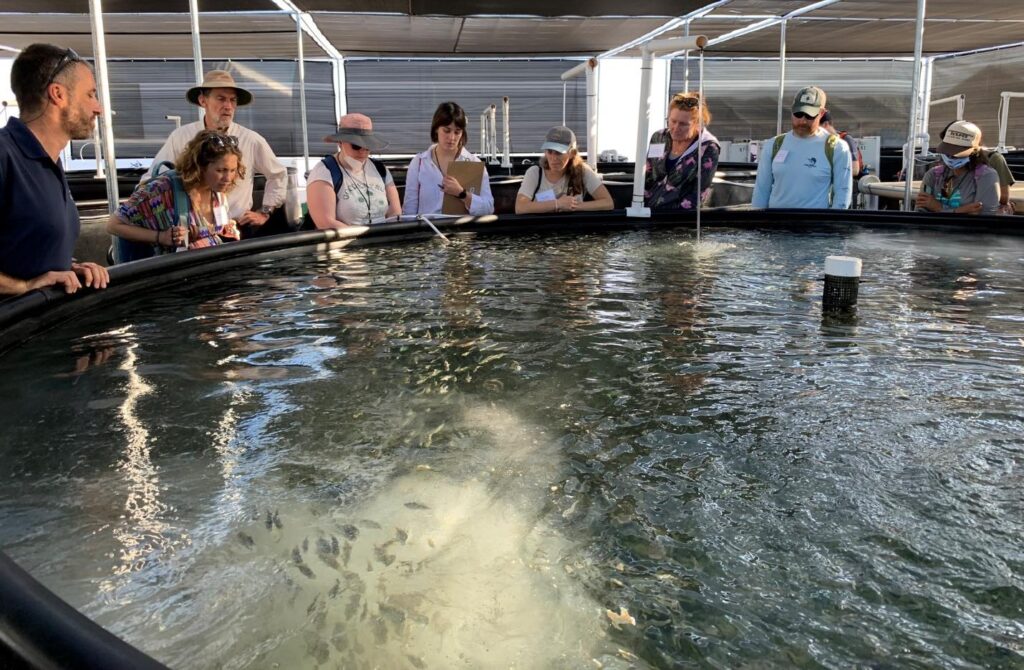 Photo of people looking into an aquaculture tank from the Meridian Institute site visit in Hawai'i, featured in one of 5 new aquaculture reports on the AIE
