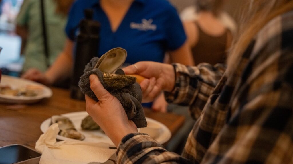 Photos of a woman in a flannel shirt learning how to shuck an oyster using an oyster knife and rag to protect her hand.